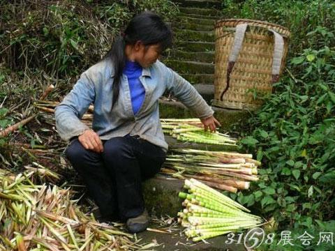 西部刀手,行走于中国道教神山四川洪雅瓦屋山,暗藏杀伐之气!