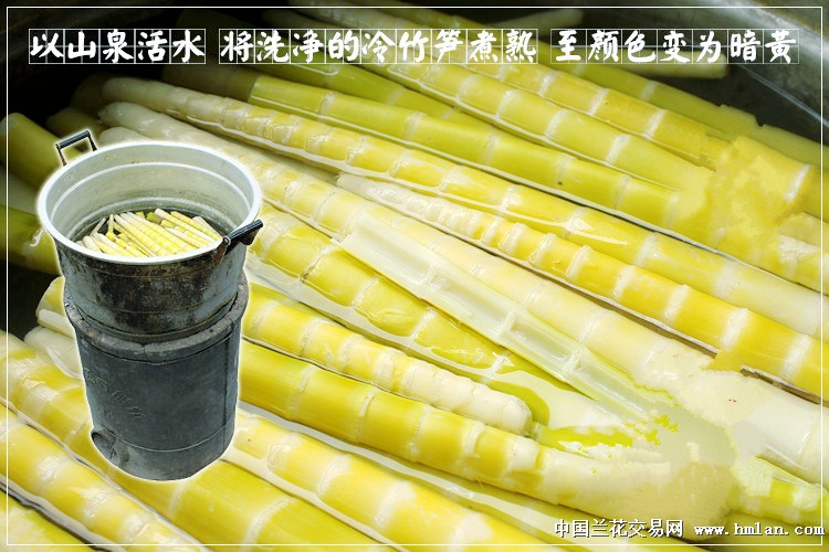 西部刀手,行走于中国道教神山四川洪雅瓦屋山,暗藏杀伐之气!