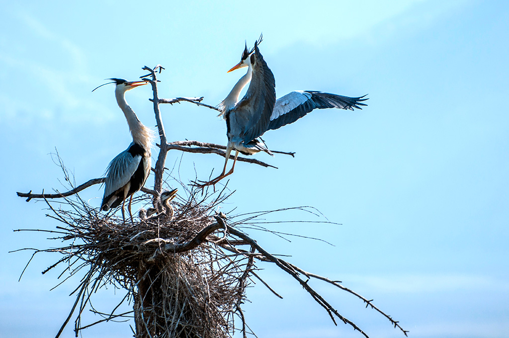 丹东风光无限,丹东风光视频