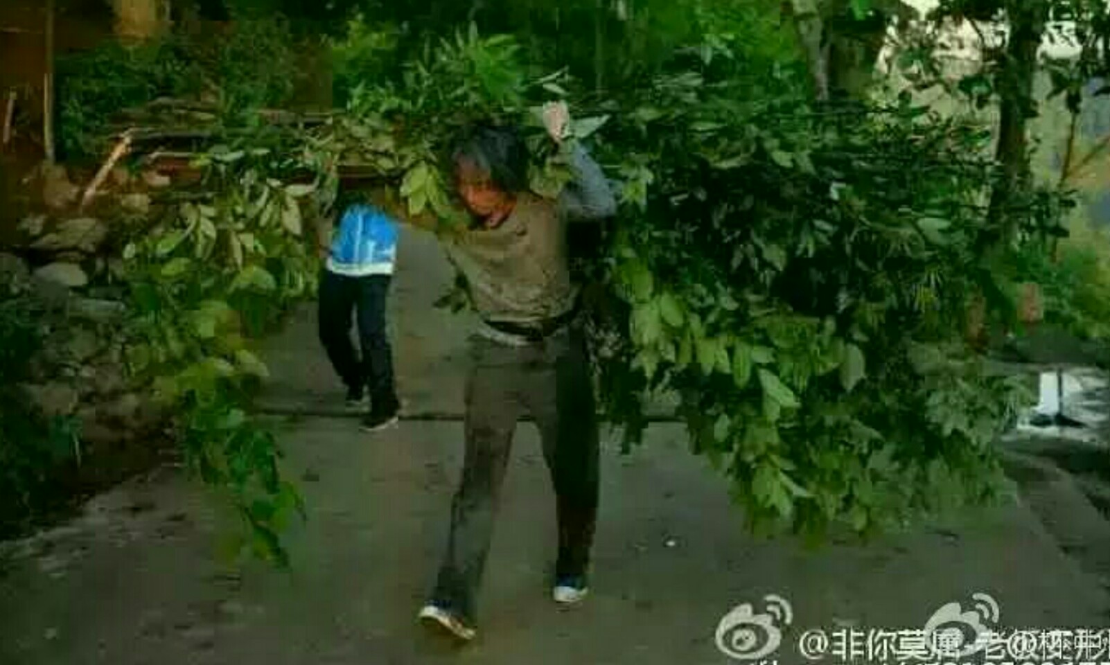 年营业额低于100万,没营业却有120万营业额