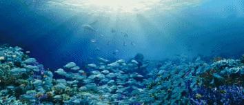 不打情怀牌,我们来谈谈这部《美人鱼》!