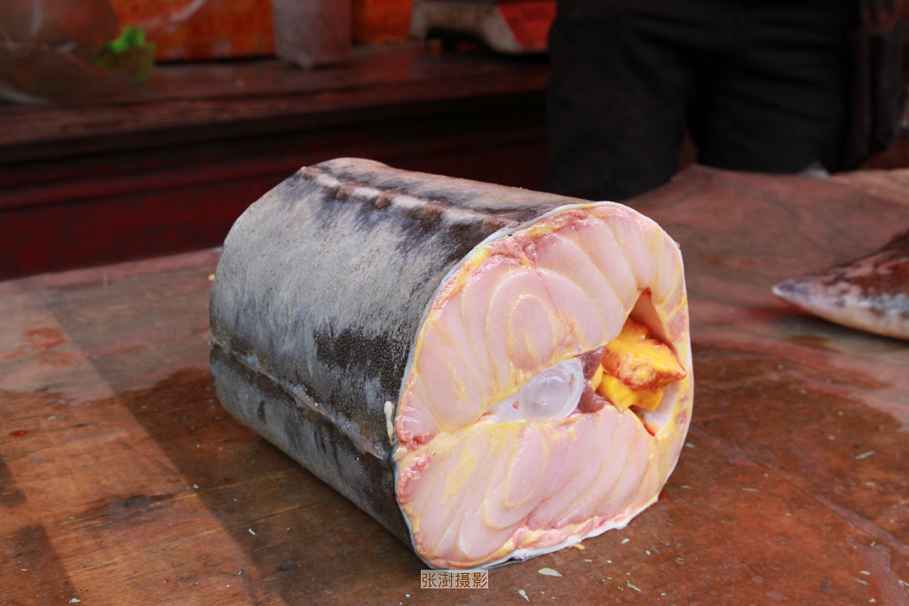 鳇鱼几千一斤,大鳇鱼贵不贵