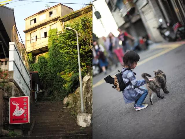 台北亲子游必去景点有哪些地方 (台北亲子游3天攻略)