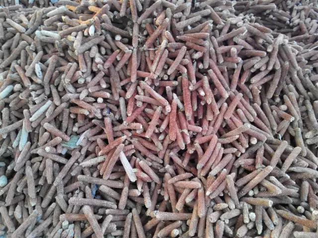 地坑院特色美食,地坑院特色小吃