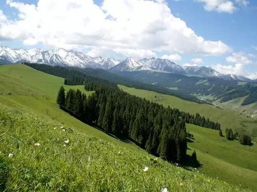哪里飞武汉机票最便宜,飞武汉机票降价