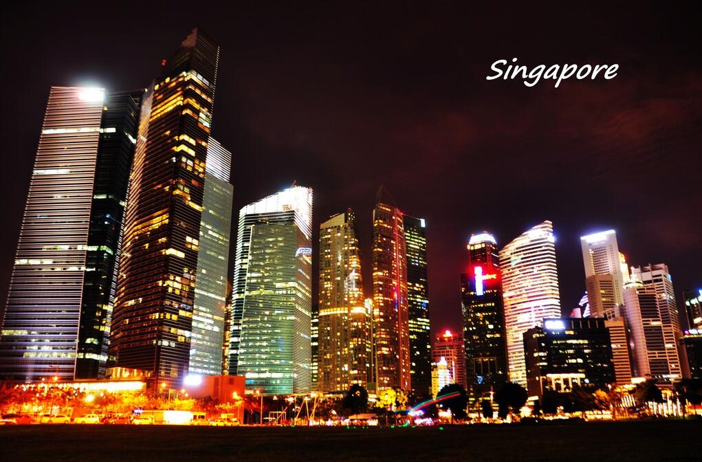 新加坡来华旅游签证要什么资料,新加坡旅游签证可以二次入境吗