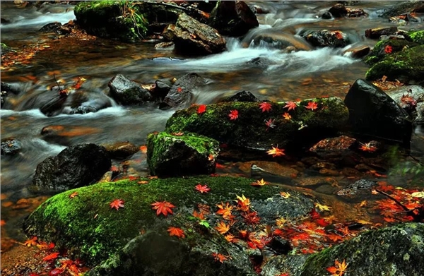 一念放下万般自在行书,一念放下万般自在的字图