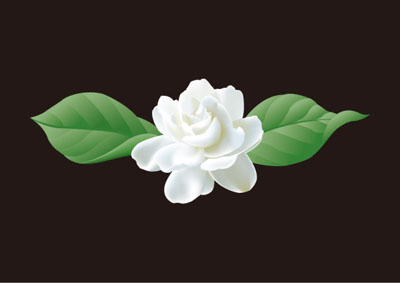 课外知识大扩展之——中国市花大全！