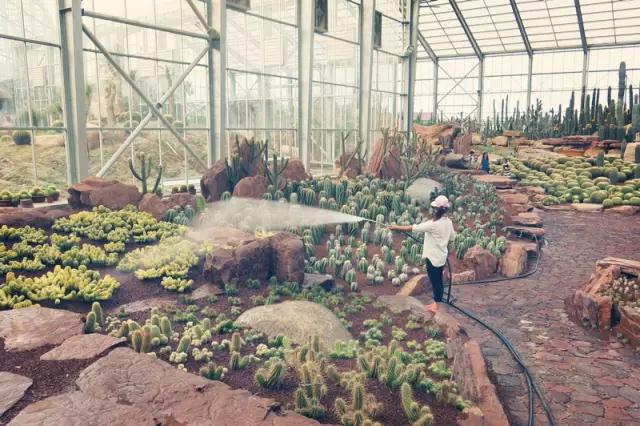 南通人可以免费的景点,南通人都去哪里玩