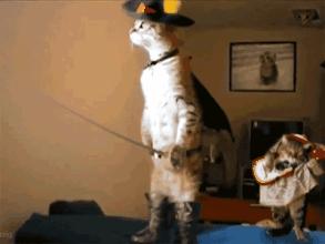 没其他想说的,今天周末,大家耍开心就好!