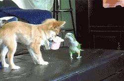 没其他想说的,今天周末,大家耍开心就好!