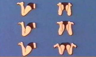 腰椎间盘突出蛙泳全套慢动作,蛙泳对腰椎间盘突出有好处吗