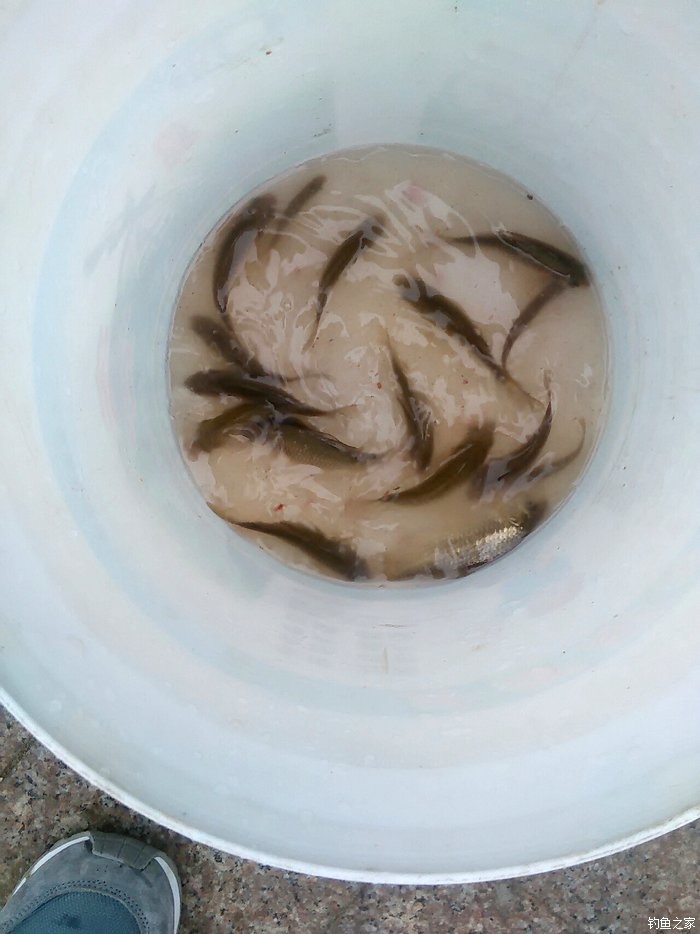 新年第一杆，解毒成功