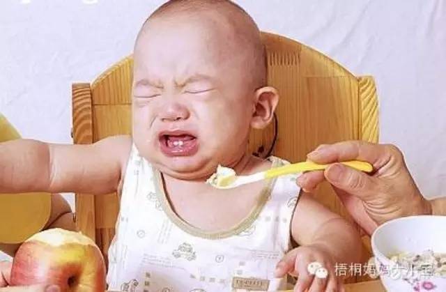 儿童以食为天视频,宝宝吃货养成史辅食的添加技巧