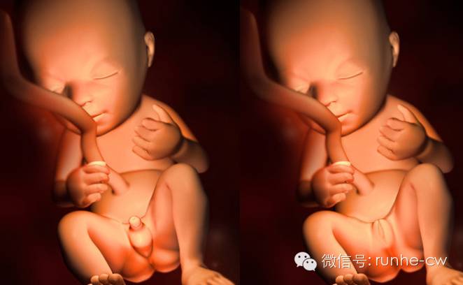 怀孕5月孕妇竟被要求引产,实情背后的真相让人心痛不已