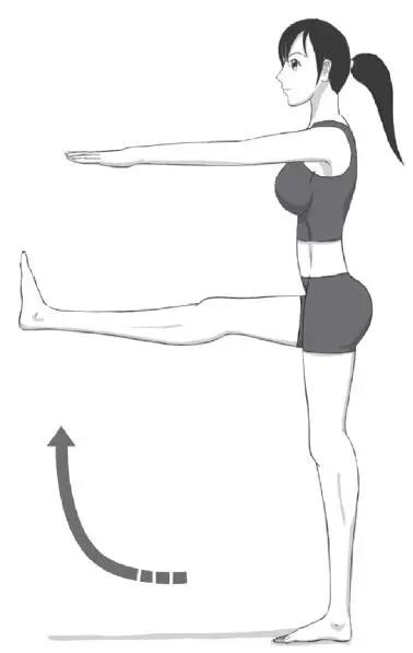 胖子没有未来,胖子没有未来的梗