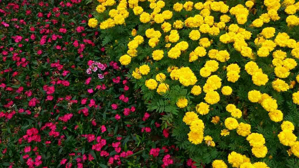 3倍光学变焦成像质量,小米12sultra120倍变焦成像