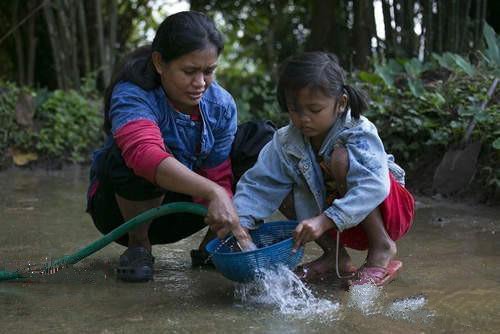 一杯1500元的黑象牙咖啡大象便便中的咖啡豆冲出的咖啡