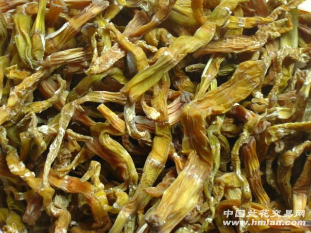 西部刀手,行走于中国道教神山四川洪雅瓦屋山,暗藏杀伐之气!