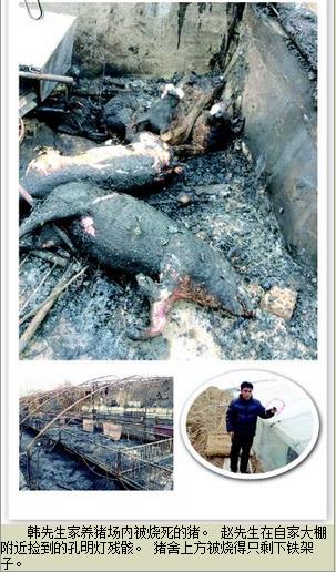 元宵节临近，聊城晚报呼吁大家：请别燃放孔明灯