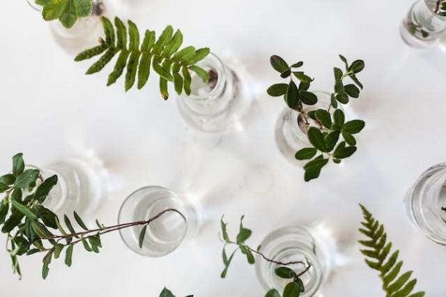 你有没有想过开一家花店呢 (要有一颗文艺心才能开一个花店)