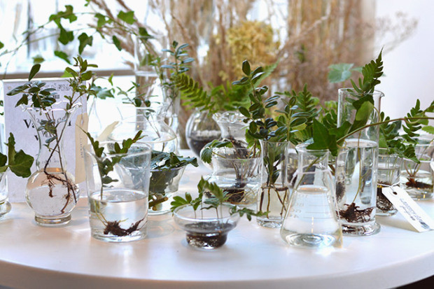 你有没有想过开一家花店呢 (要有一颗文艺心才能开一个花店)