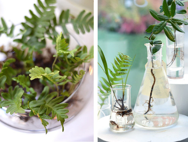 你有没有想过开一家花店呢 (要有一颗文艺心才能开一个花店)