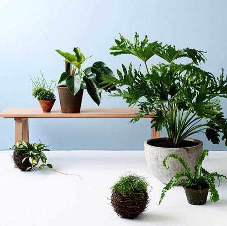 你有没有想过开一家花店呢 (要有一颗文艺心才能开一个花店)