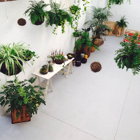 你有没有想过开一家花店呢 (要有一颗文艺心才能开一个花店)