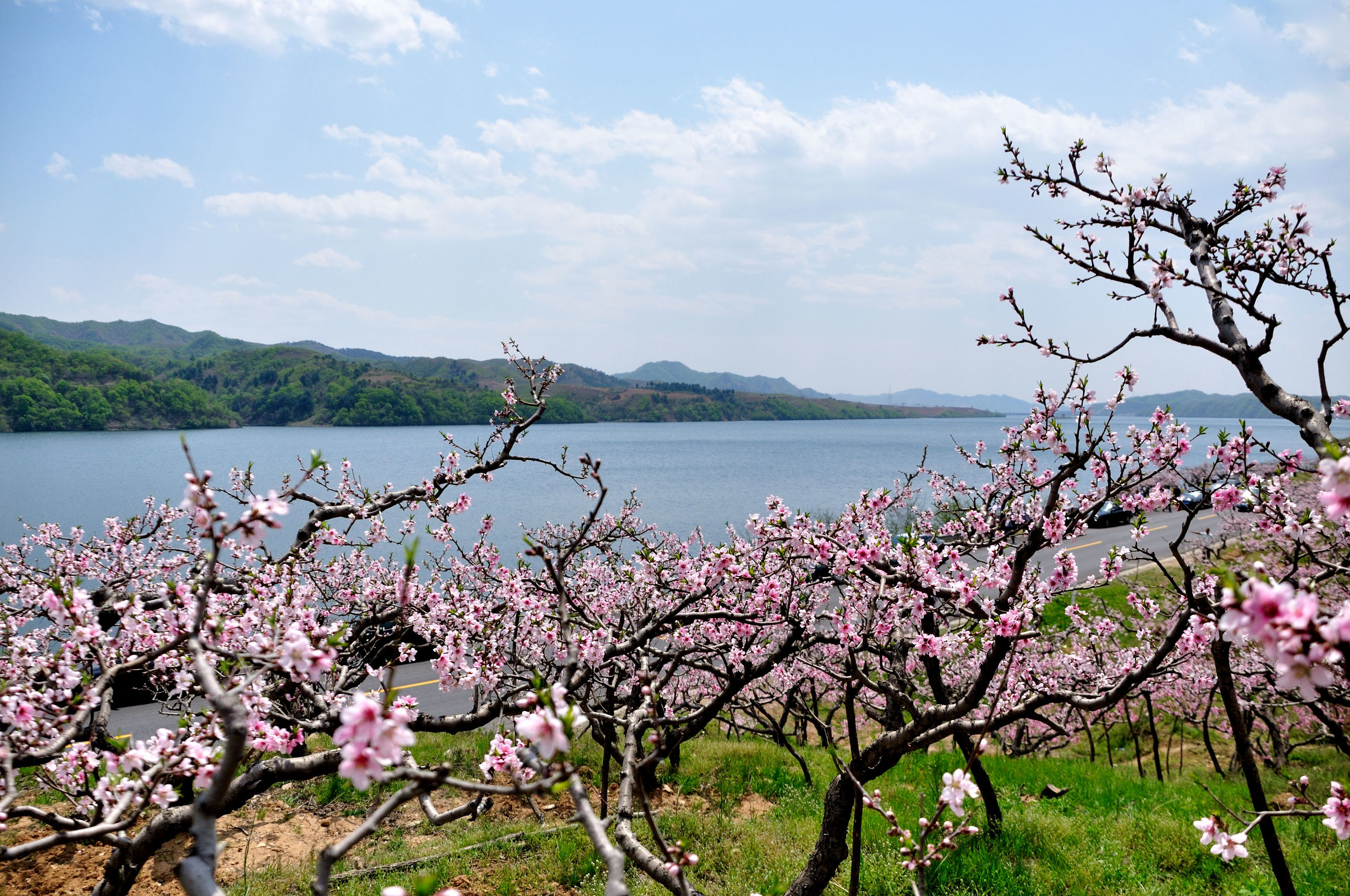 丹东风光无限,丹东风光视频