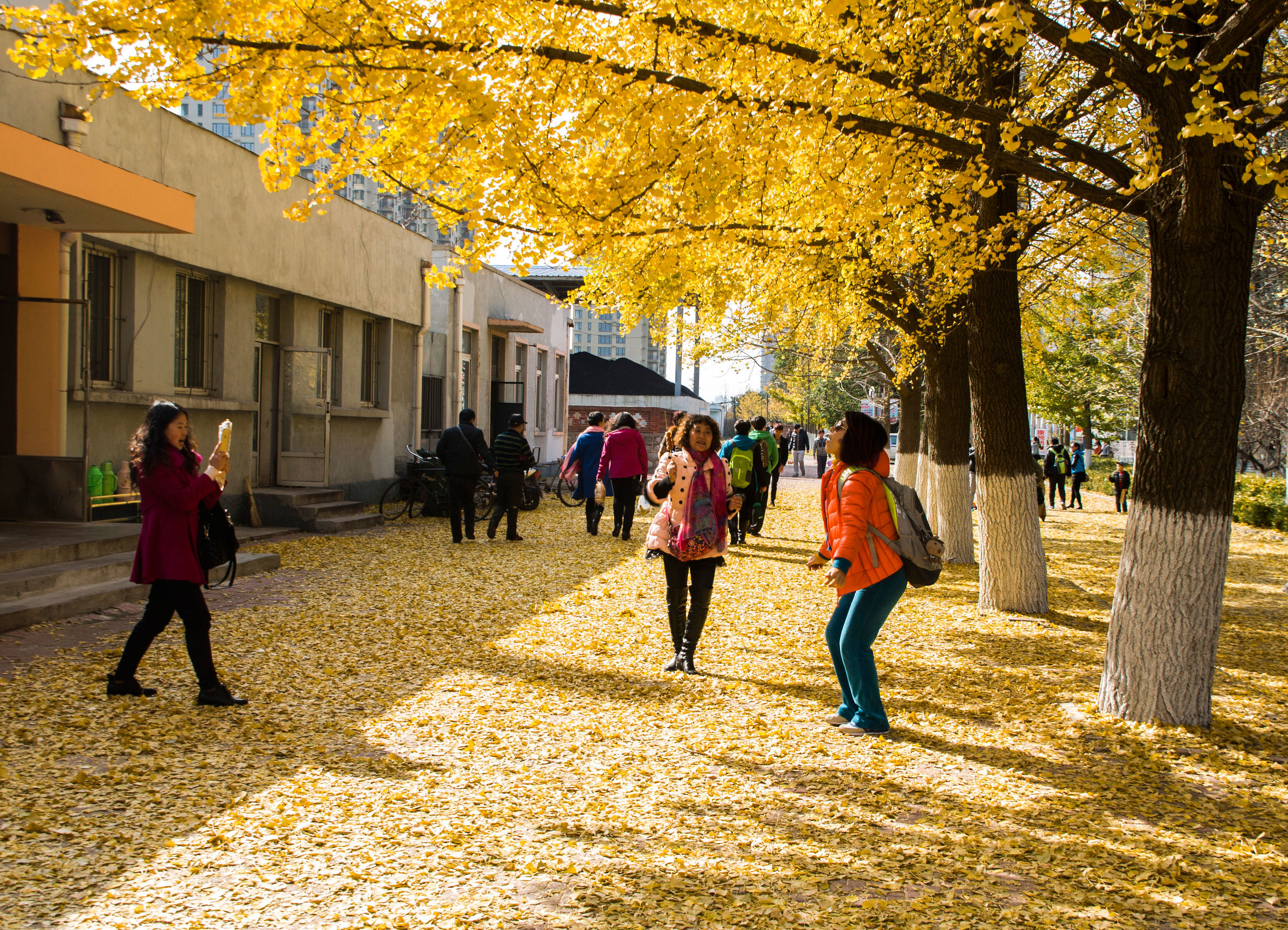 丹东风光无限,丹东风光视频