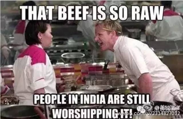 英文|毒舌大厨教你怎么损人不带脏字儿