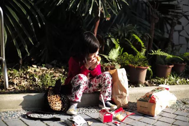 台北亲子游必去景点有哪些地方 (台北亲子游3天攻略)