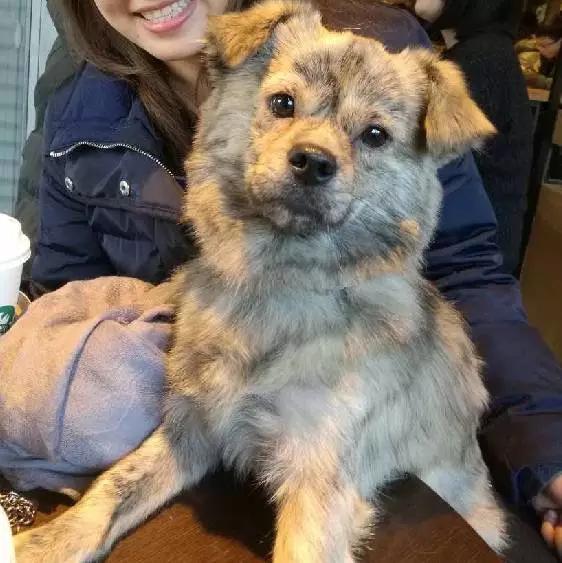 「2月上海春季」有爱领养