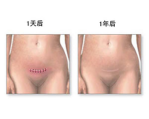 分娩课程的结构,分娩课程的主要内容