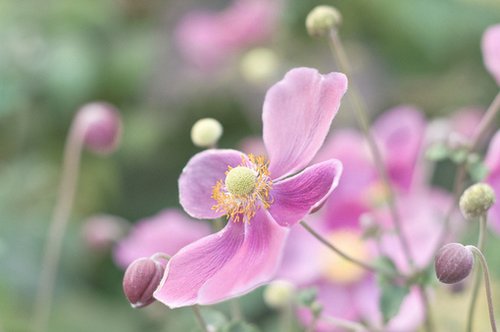 婚姻需要用心经营彼此信任,婚姻应该用心去维护