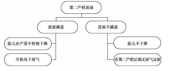 结合ppt讲解自然分娩的知识,分娩第二产程
