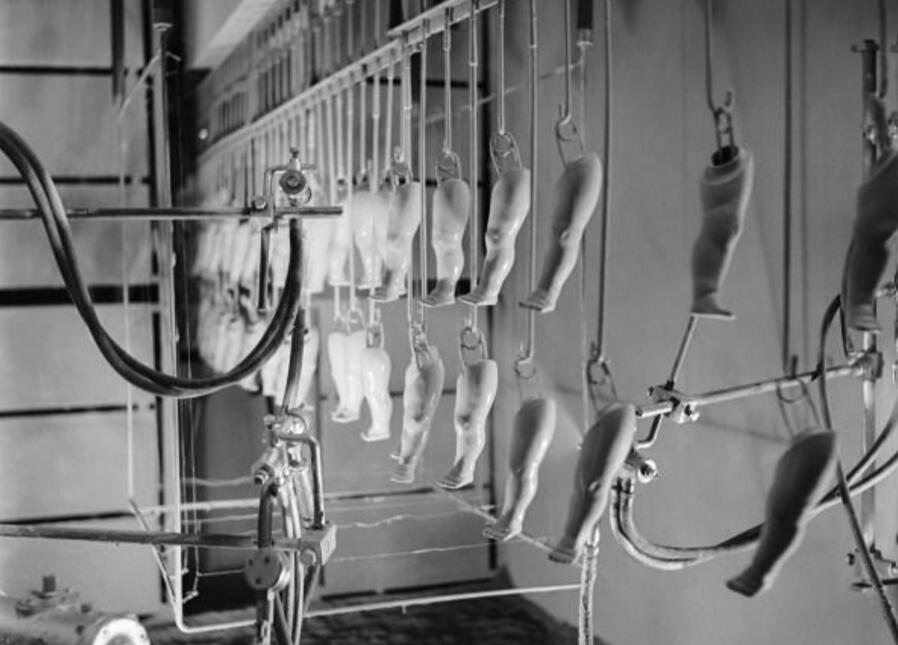 2位孩子被邀请到人偶工厂一游，但里面的情景让人吓到尿裤子！