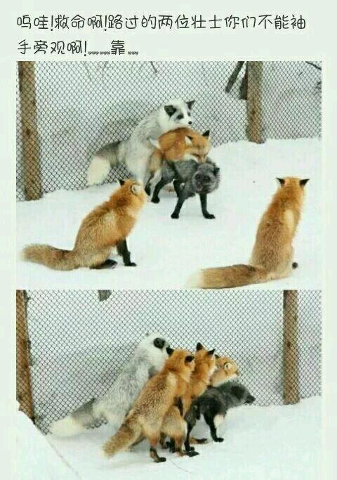 没其他想说的,今天周末,大家耍开心就好!