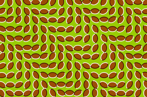 手机上千万不能下载的软件,手机里千万不要下载的软件