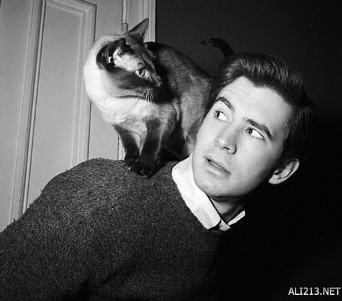 影史最伟大的十部电影解析,影史十大经典电影