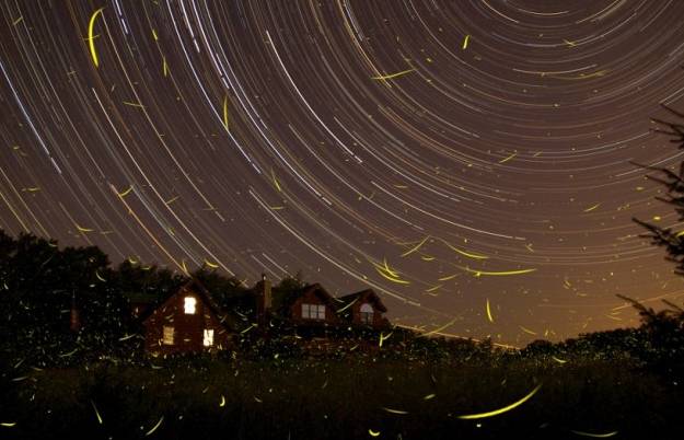 文艺范唯美句子,文艺范的散文