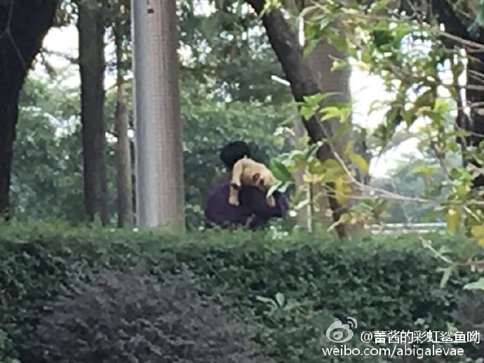 exo暖心叮嘱艺兴,exo艺兴霸气上场