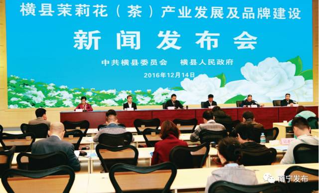 难忘的南宁之旅,难忘南宁之夜