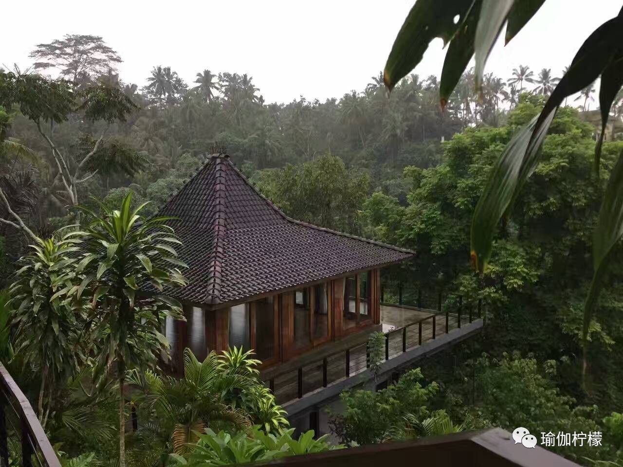 SeriWang：国内寰宇瑜伽第一人，身体和心灵一直在路上