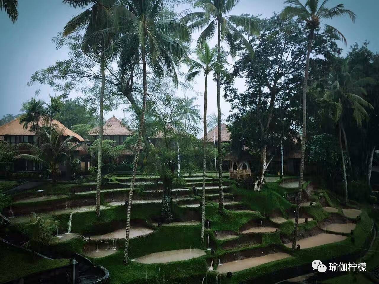 SeriWang：国内寰宇瑜伽第一人，身体和心灵一直在路上