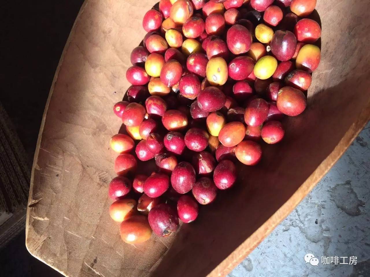 咖啡课堂星巴克,咖啡课堂