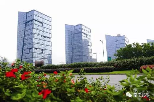 难忘的南宁之旅,难忘南宁之夜