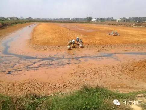 虾海鱼如何混养,海水鱼虾混养最佳模式