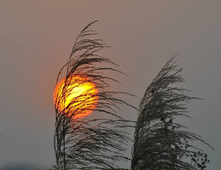 文艺范唯美句子,文艺范的散文